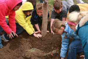 image of planting tree