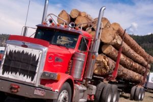 Truck carrying logs