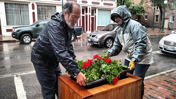 Person helping move flower